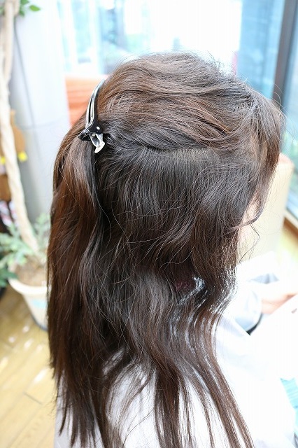 ヘナ　ナチュラルのみのご提供。 値段下げました。 公式ショップ】「お徳用」ヘナ物語 ナチュラルヘナ 100g×2個